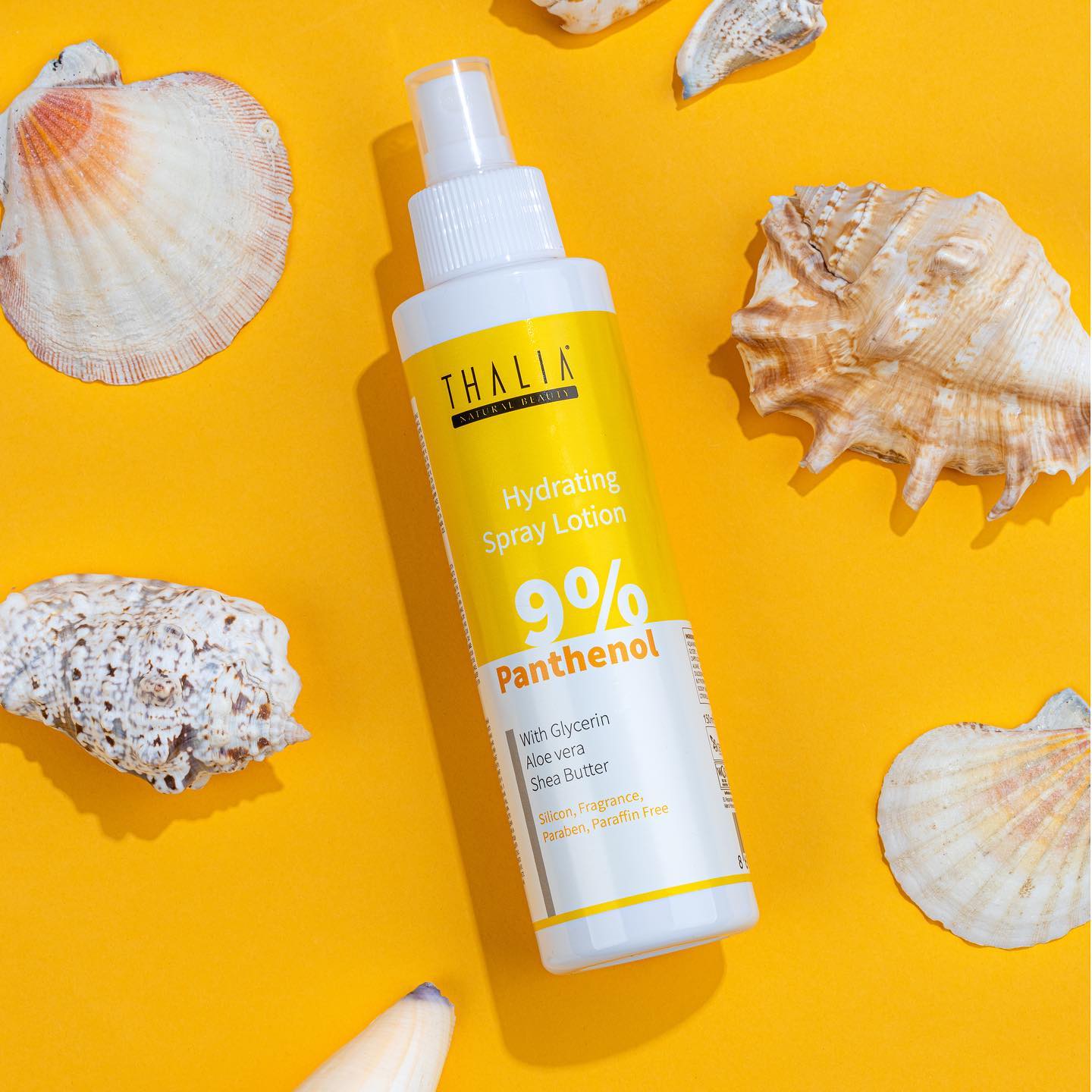 476796947 628164059760252 387343775846431083 n