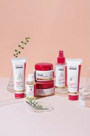 auto draft auto draft